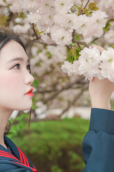 Lady宝石宠物